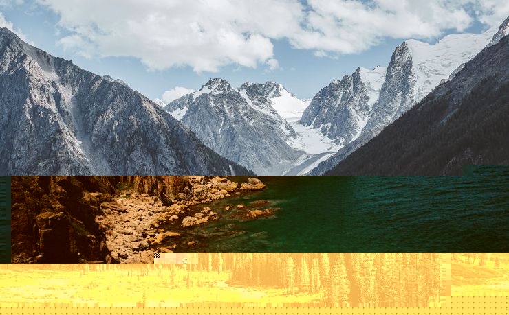 移民荷兰推荐中介公司